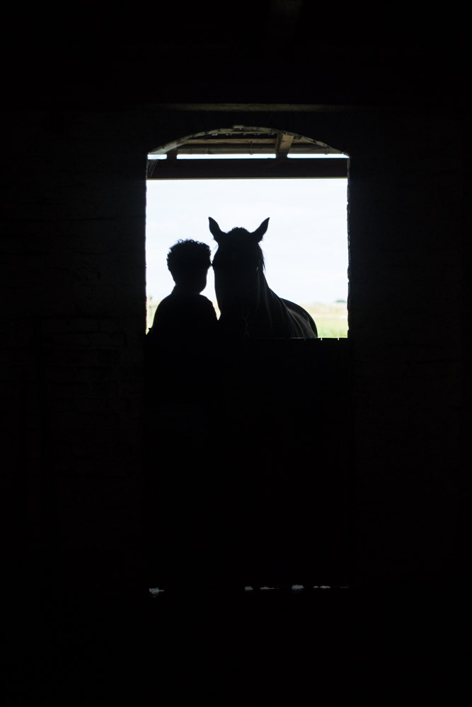 Silhouette im Pferdestall